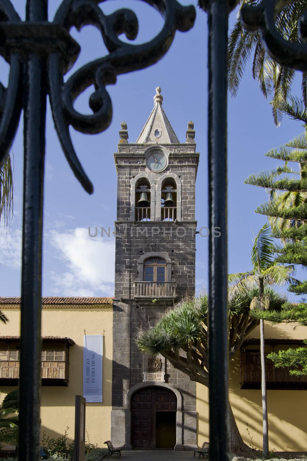 Canary institute behind a gate by ncuisinier