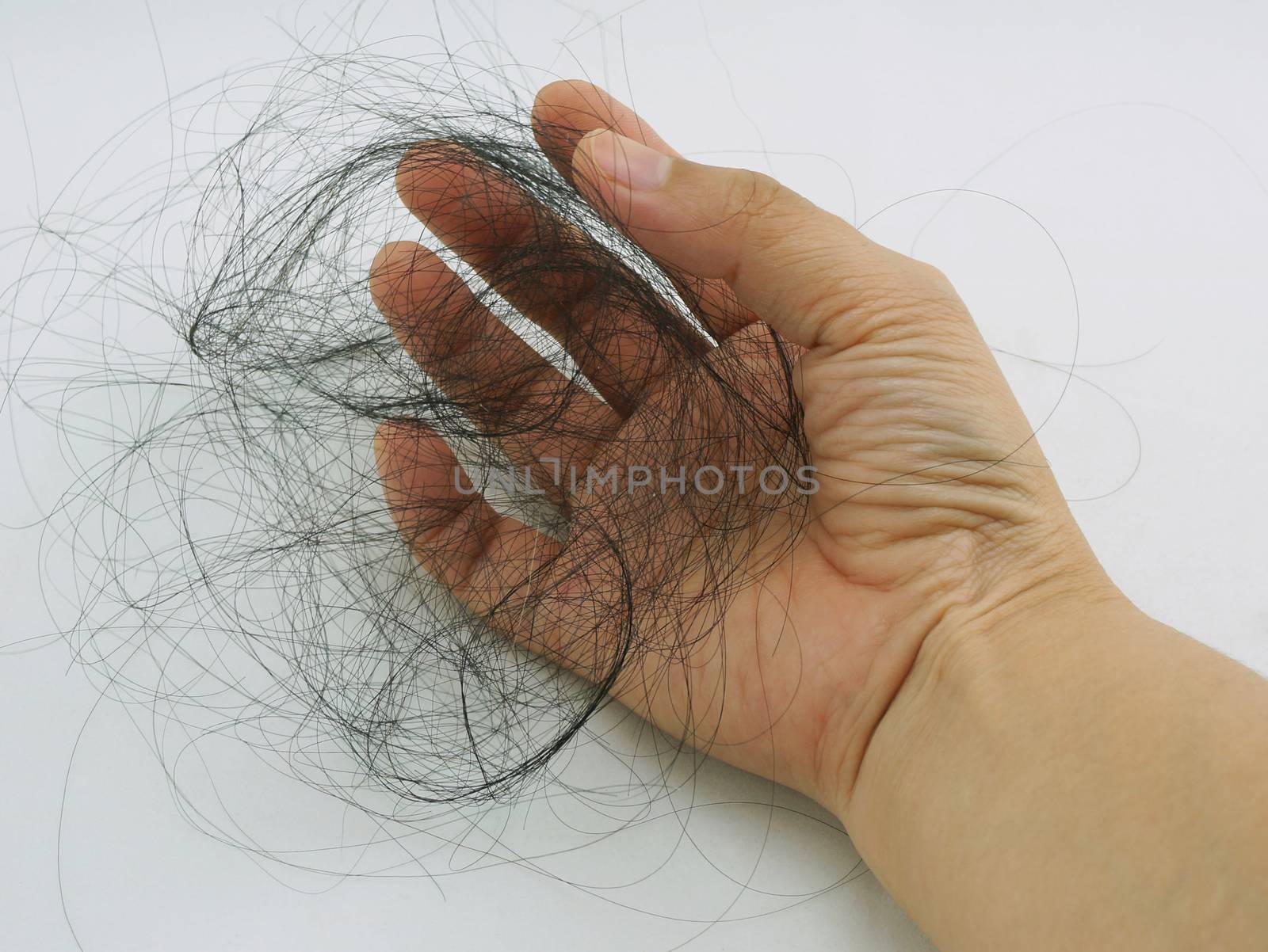 Long black hair fall as clusters in the hands of women.                               