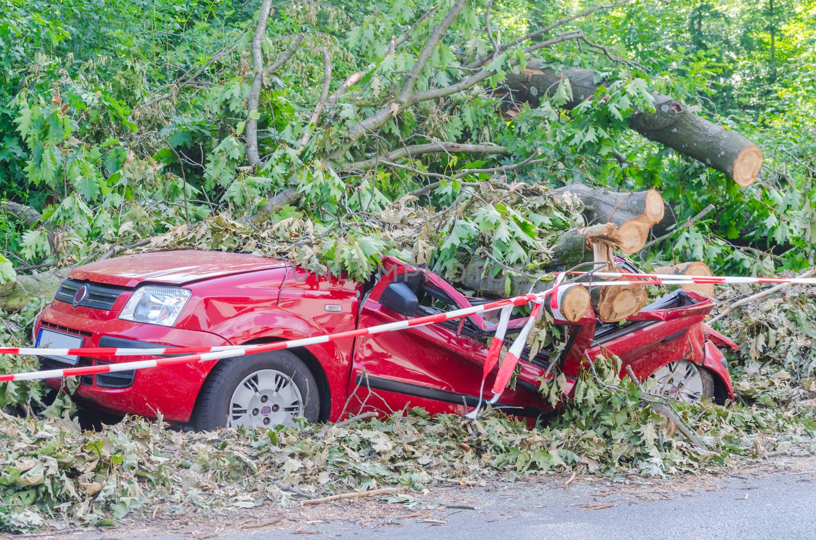 Essen Kettwig, Nrw, Germany - June 15, 2014:  Essen, according to it was the strongest storm in NRW since Kyrill in 2007. 

When storm on Whit Monday (06/09/2014), several people were killed during a thunderstorm, storm and heavy rain. Also the road traffic is very limited. 

Car after a large tree fell on it, caused by the storm damage in early June.