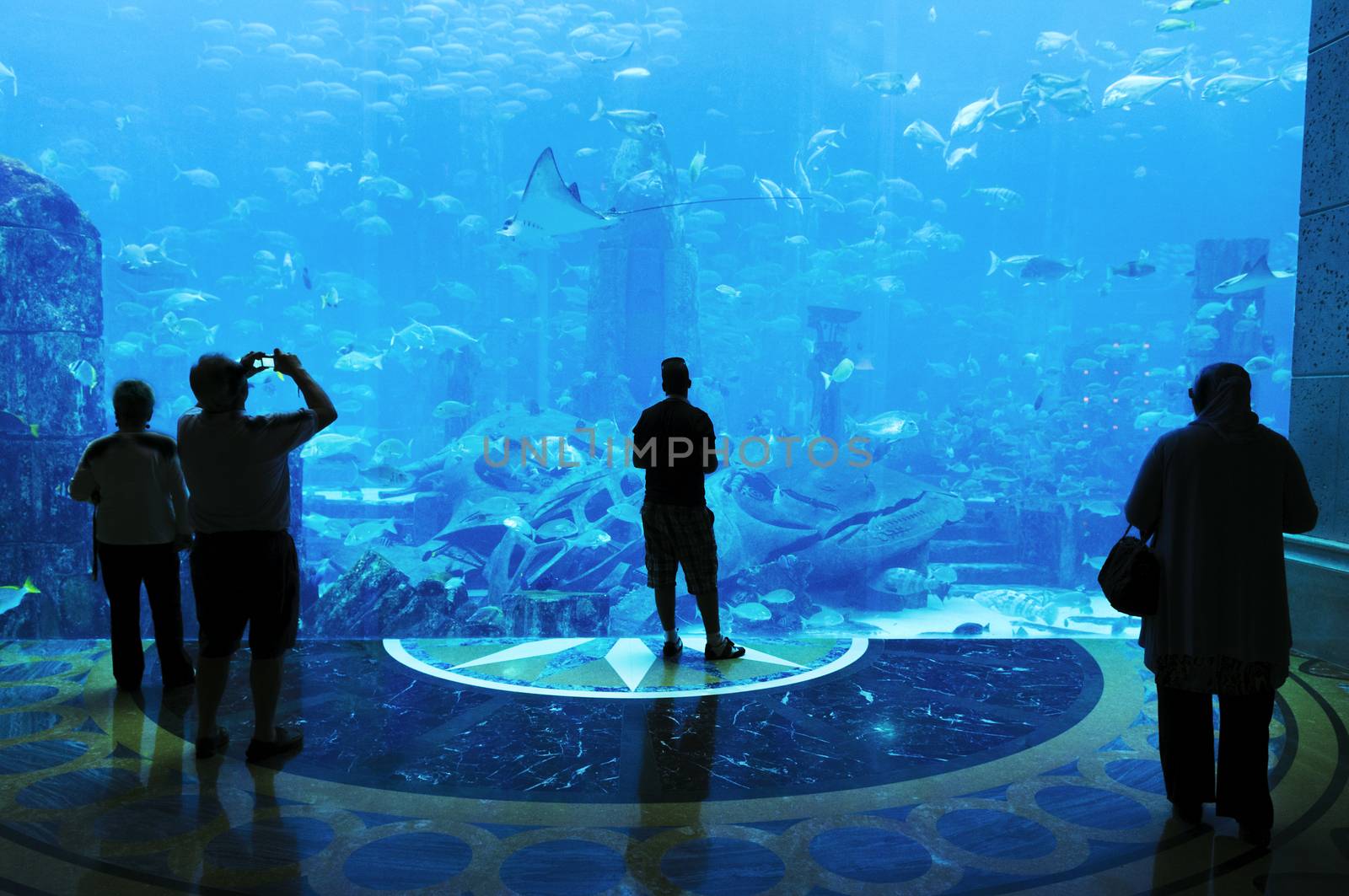 silhouettes of people against a big aquarium 
