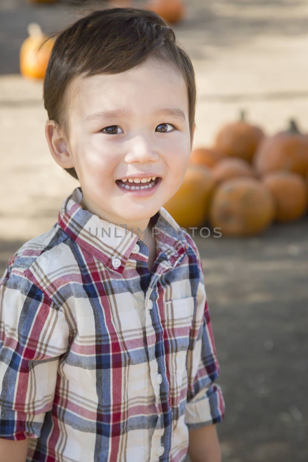 Cute Mixed Race Young Boy Having Fun at the Pumpkin Patch.