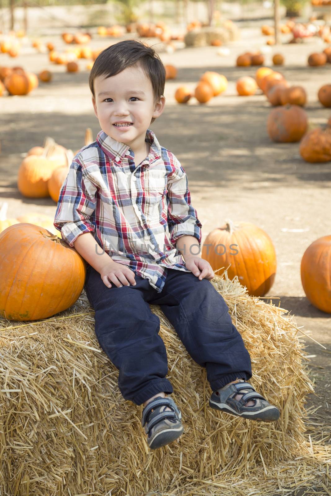 Mixed Race Young Boy Having Fun at the Pumpkin Patch by Feverpitched