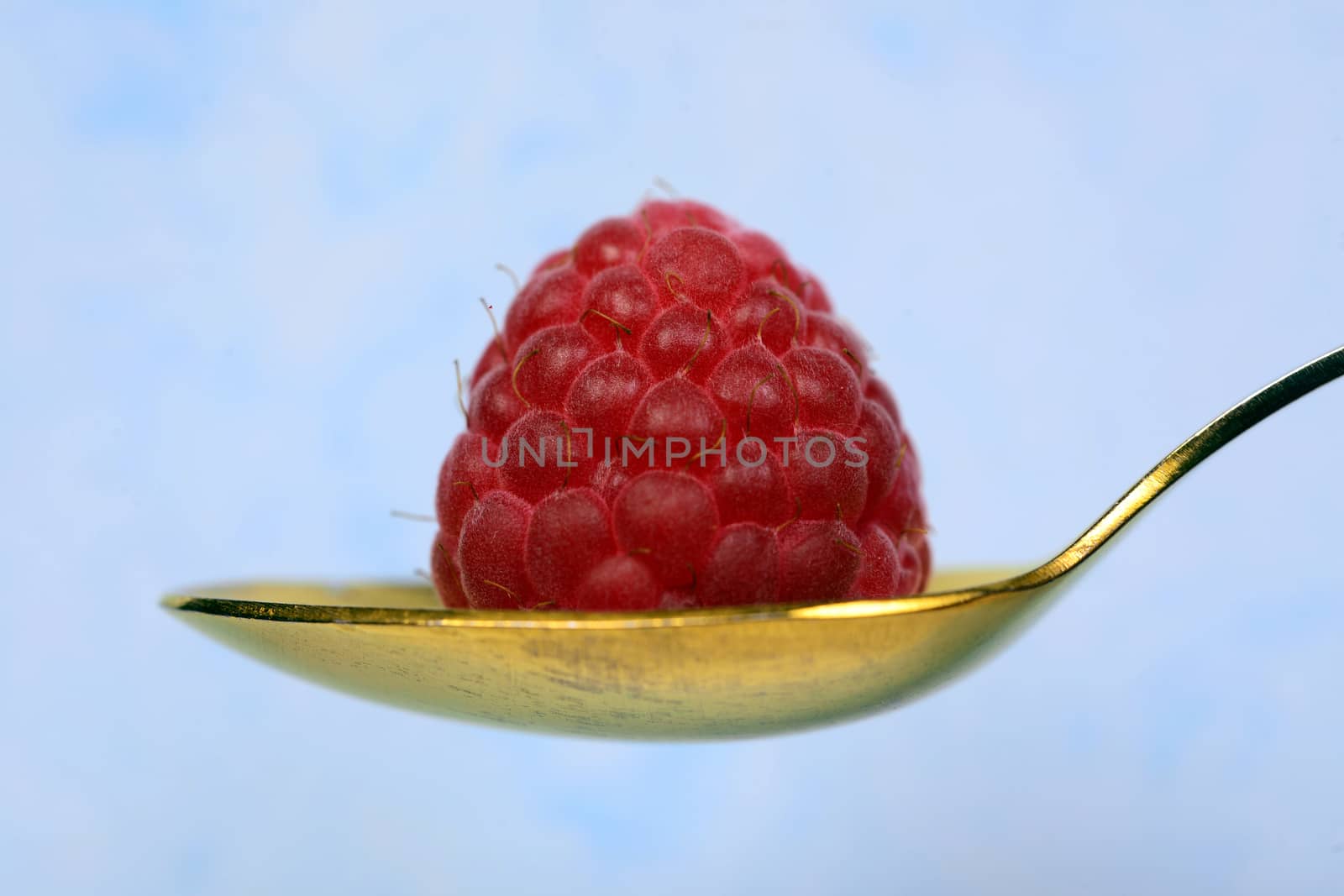 Photo of a raspberry on the spoon. Isolated on light-blue background. Creative food photography.