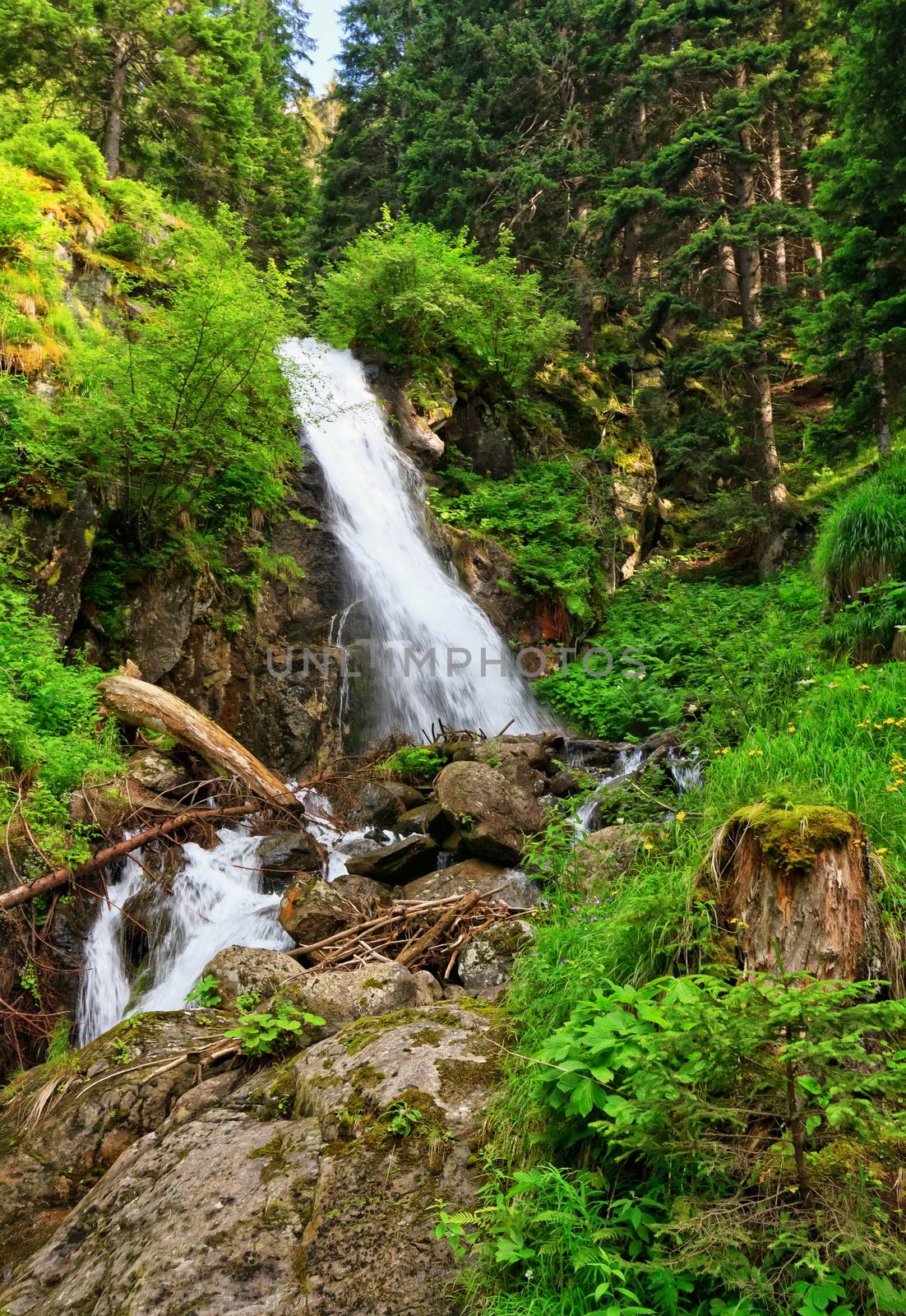 Waterfall in Vermiglio by antonioscarpi