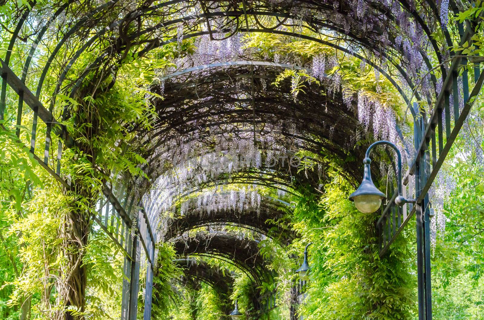 Flowers and trees grew into a kind of garden tunnel.
