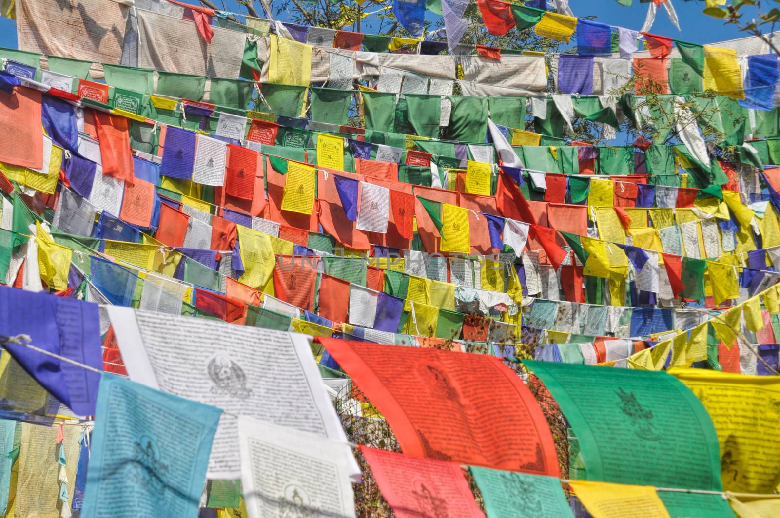 Colorful buddhist prayer flags in town of  Dharamshala, India