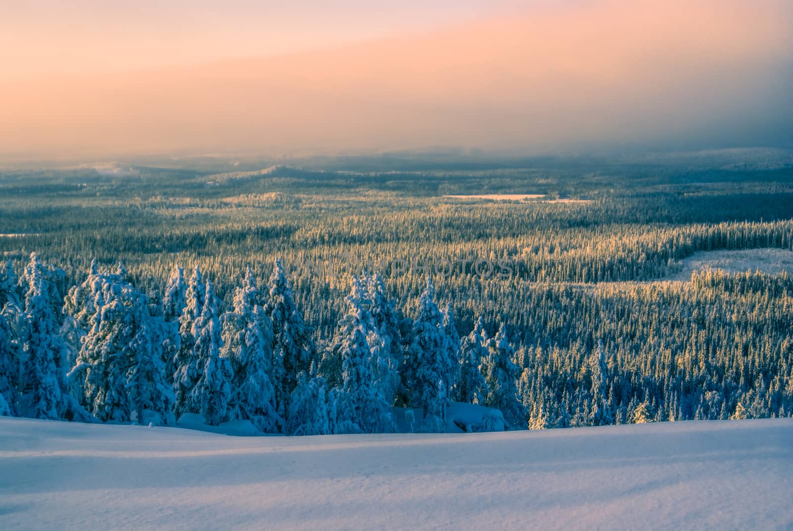 Sunset over a forest by MichalKnitl