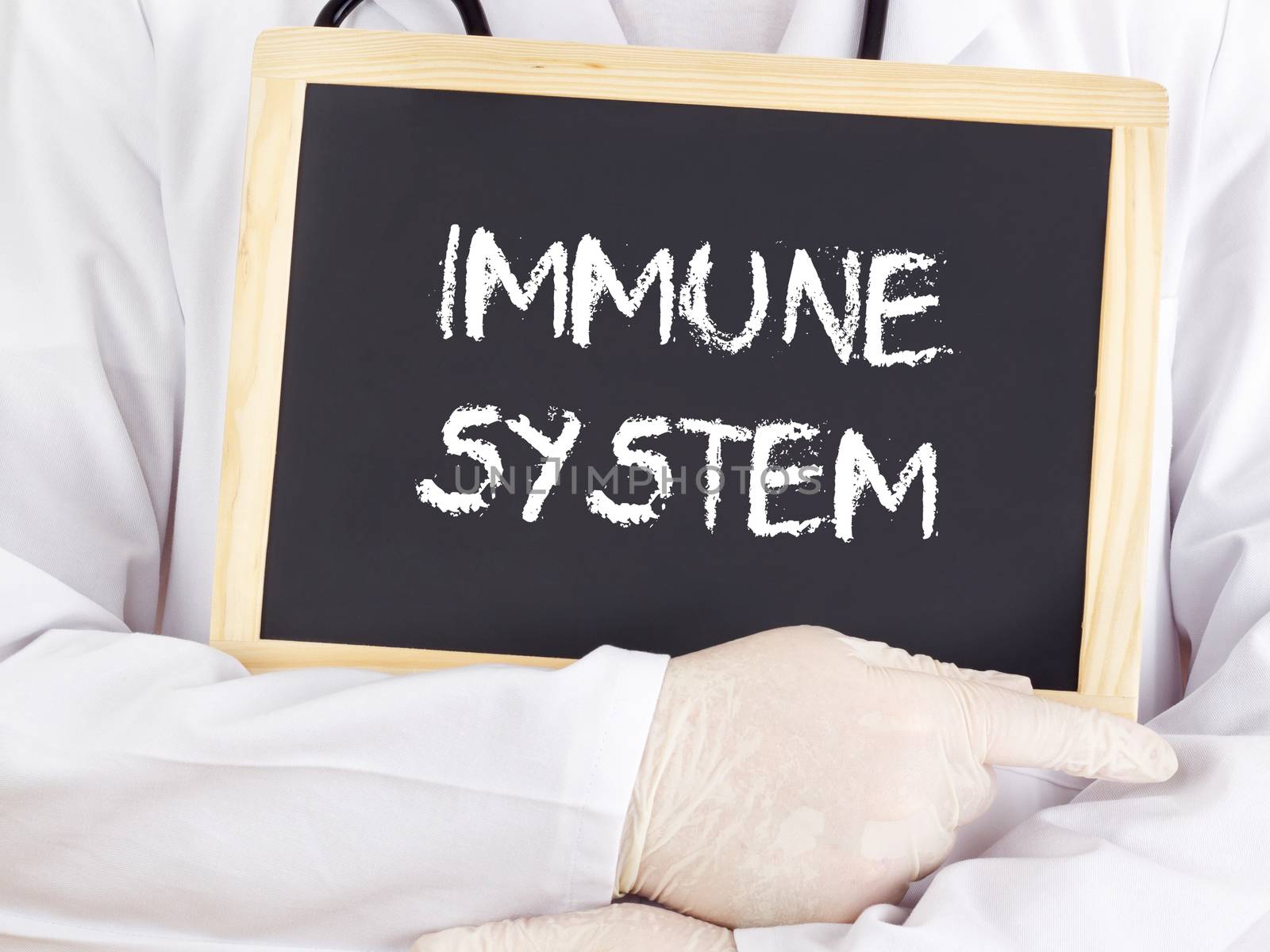 Doctor shows information on blackboard: immune system by gwolters