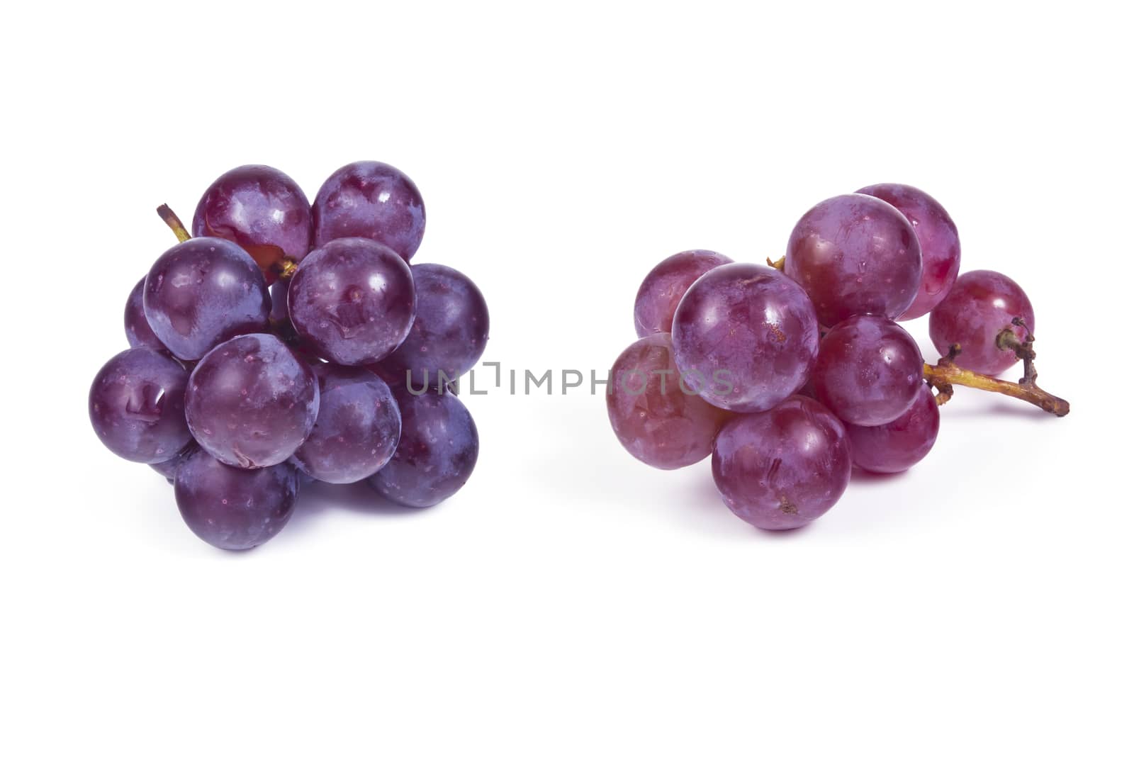 A small paintbrush of dark grapes on white background
