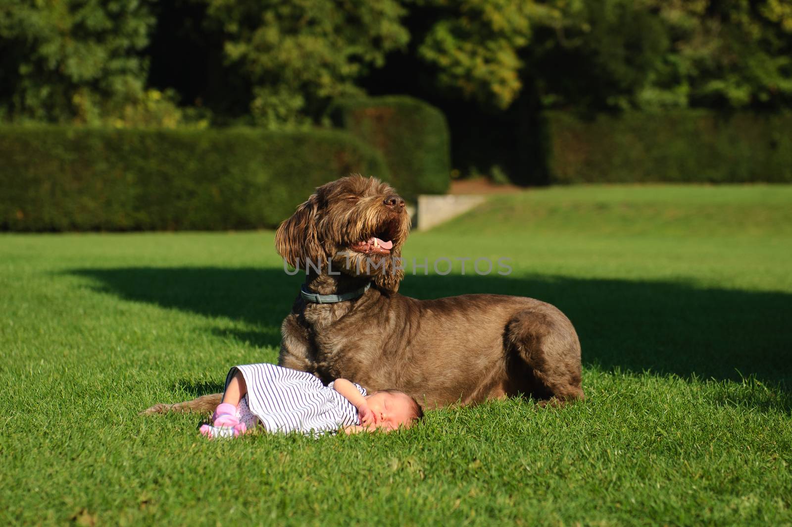 Photo of a baby girl with her big dog next to her