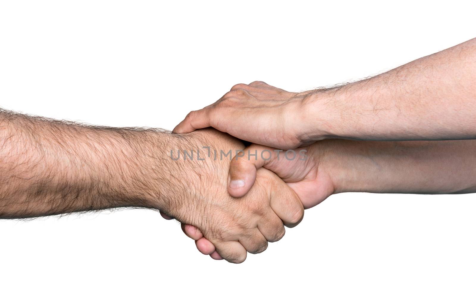 Handshaking. Shaking hands of two male people isolated on white
