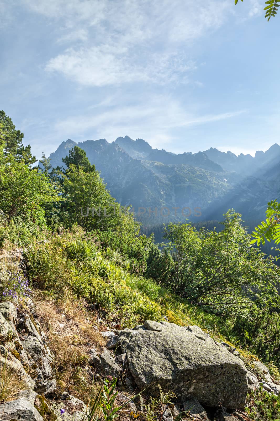 View of High Tatra Mountains from hiking trail. Slovakia. Europe.