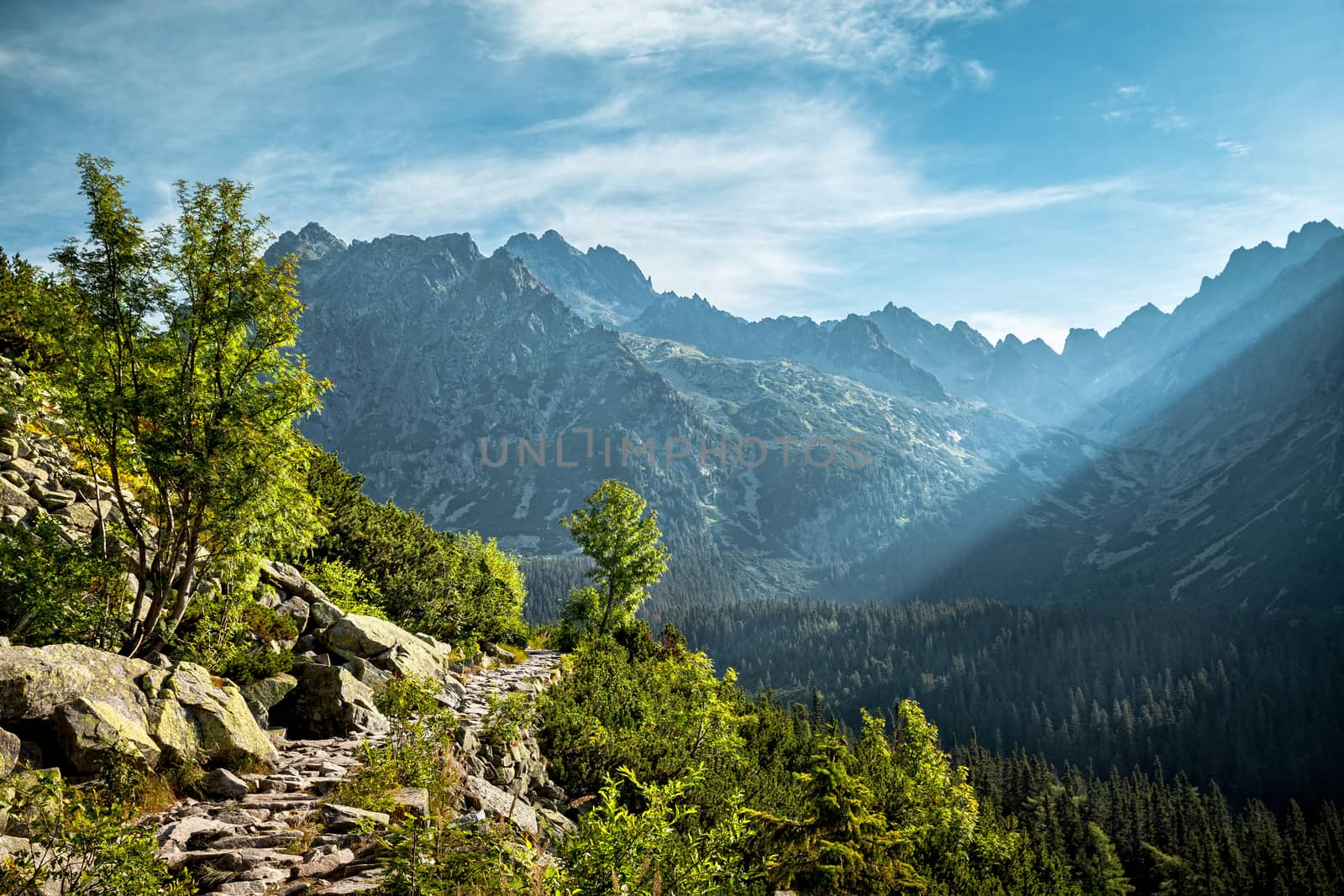 View of High Tatra Mountains from hiking trail. Slovakia. Europe.