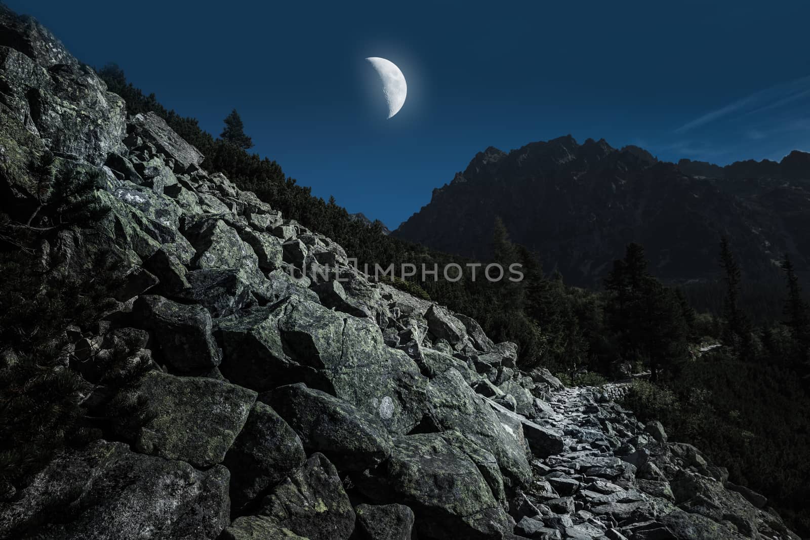 High Tatra Mountains from hiking trail i moon light. Slovakia. Europe.