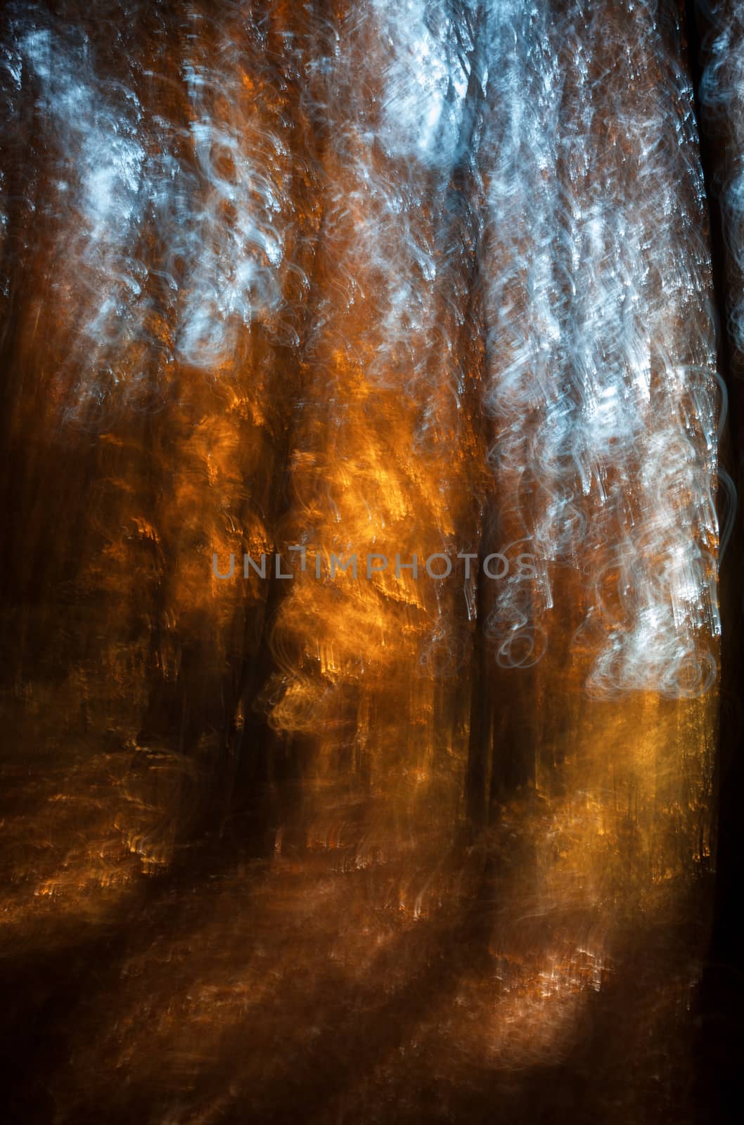 Abstract motion blur of trees in an autumn forest