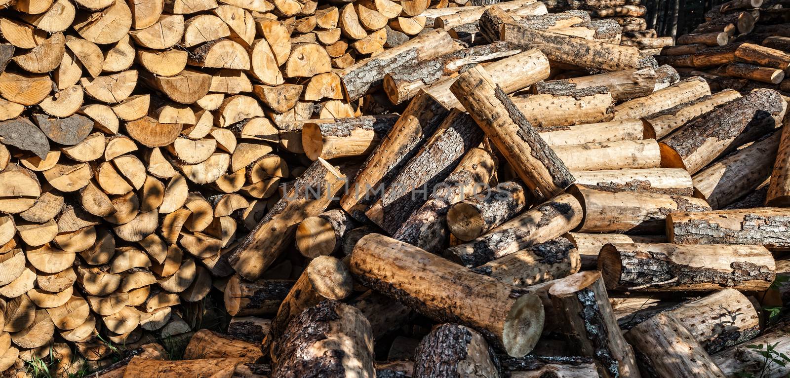 Pile of wood logs by palinchak