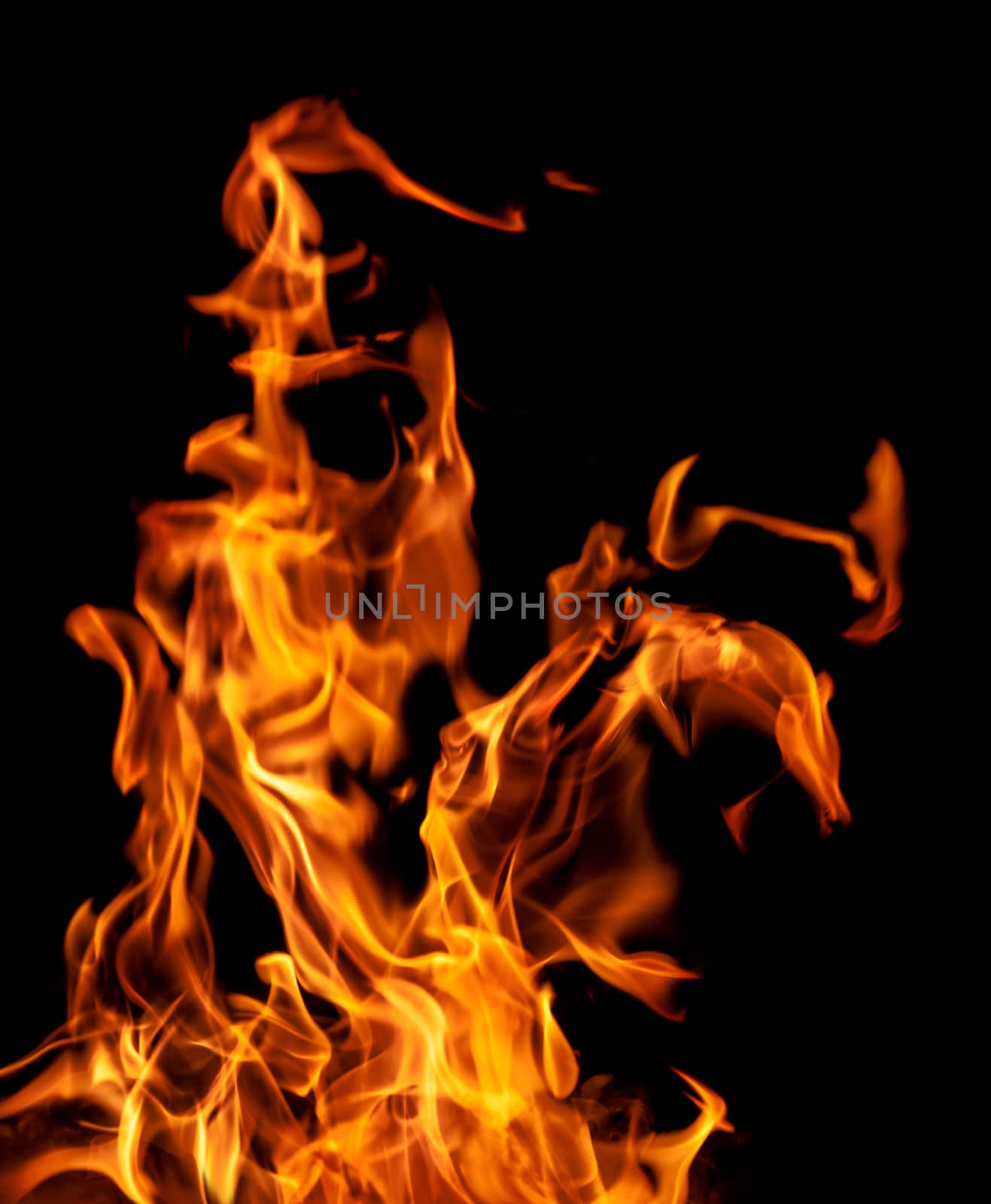 Orange fire flames on a black background
