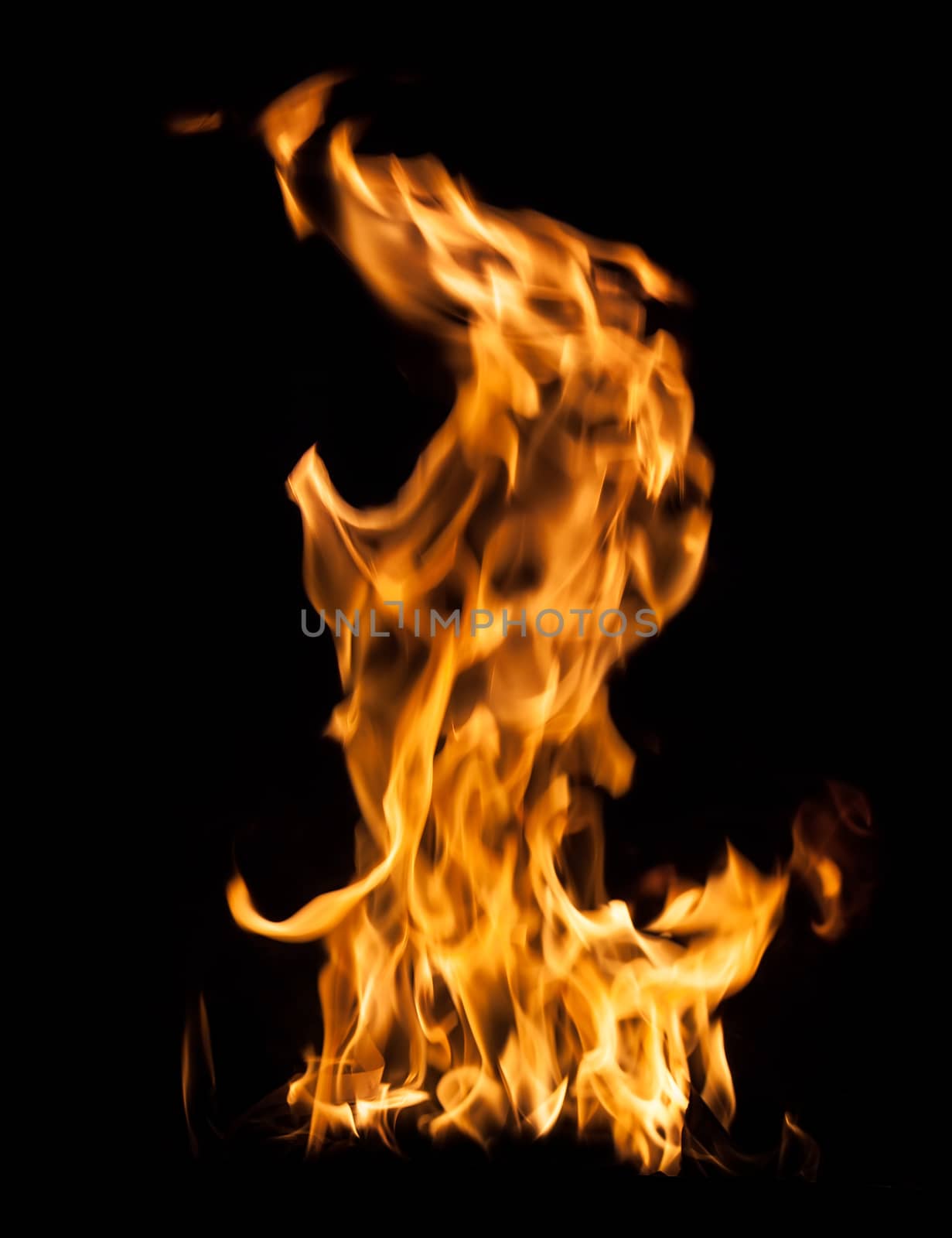 Orange fire flames on a black background