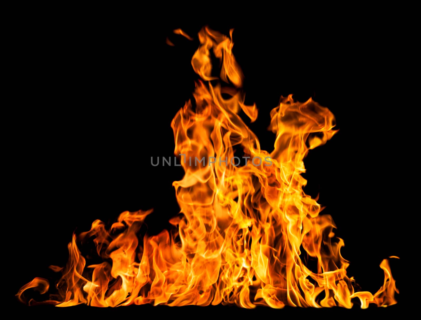Orange fire flames on a black background