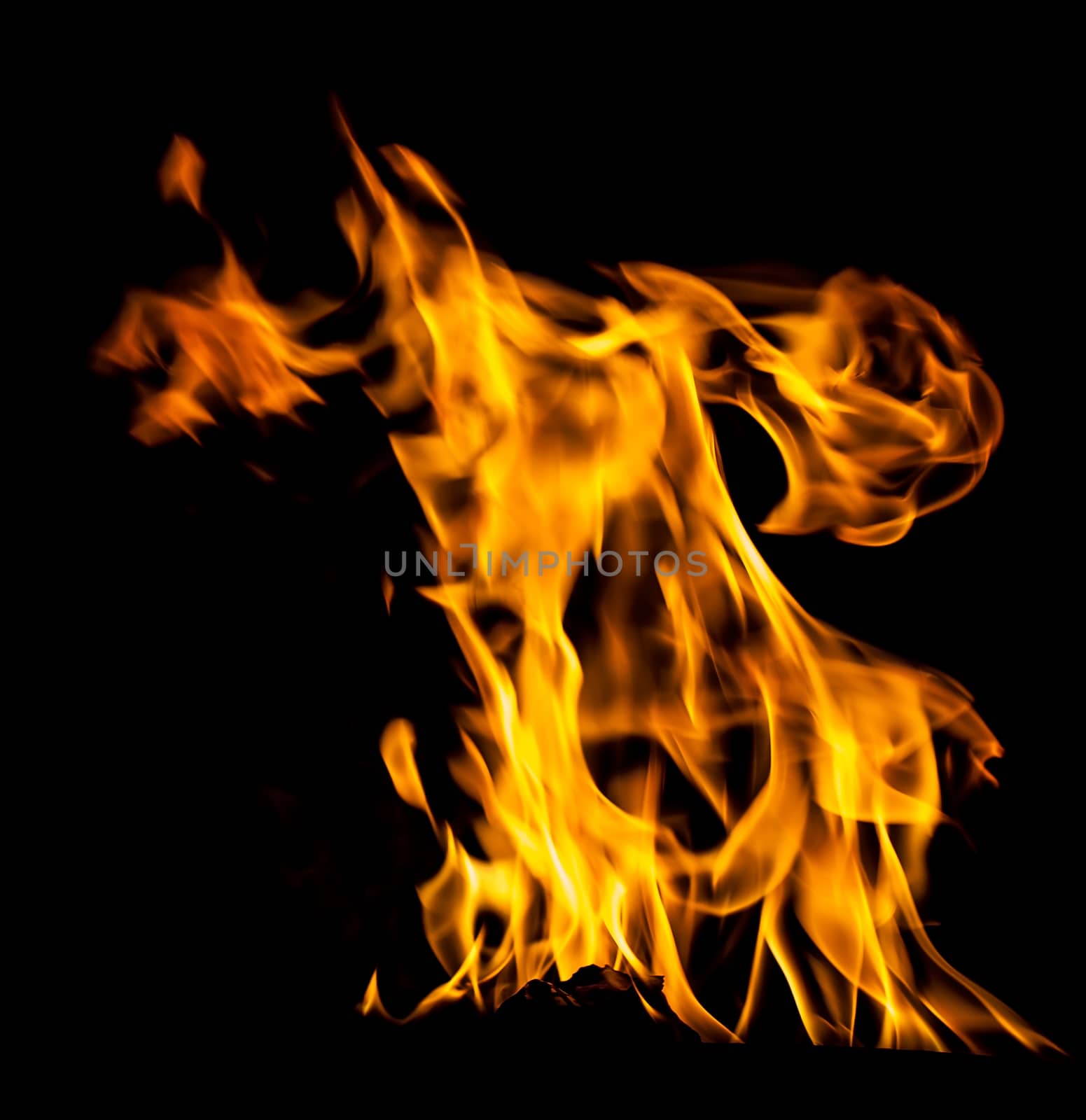 Orange fire flames on a black background