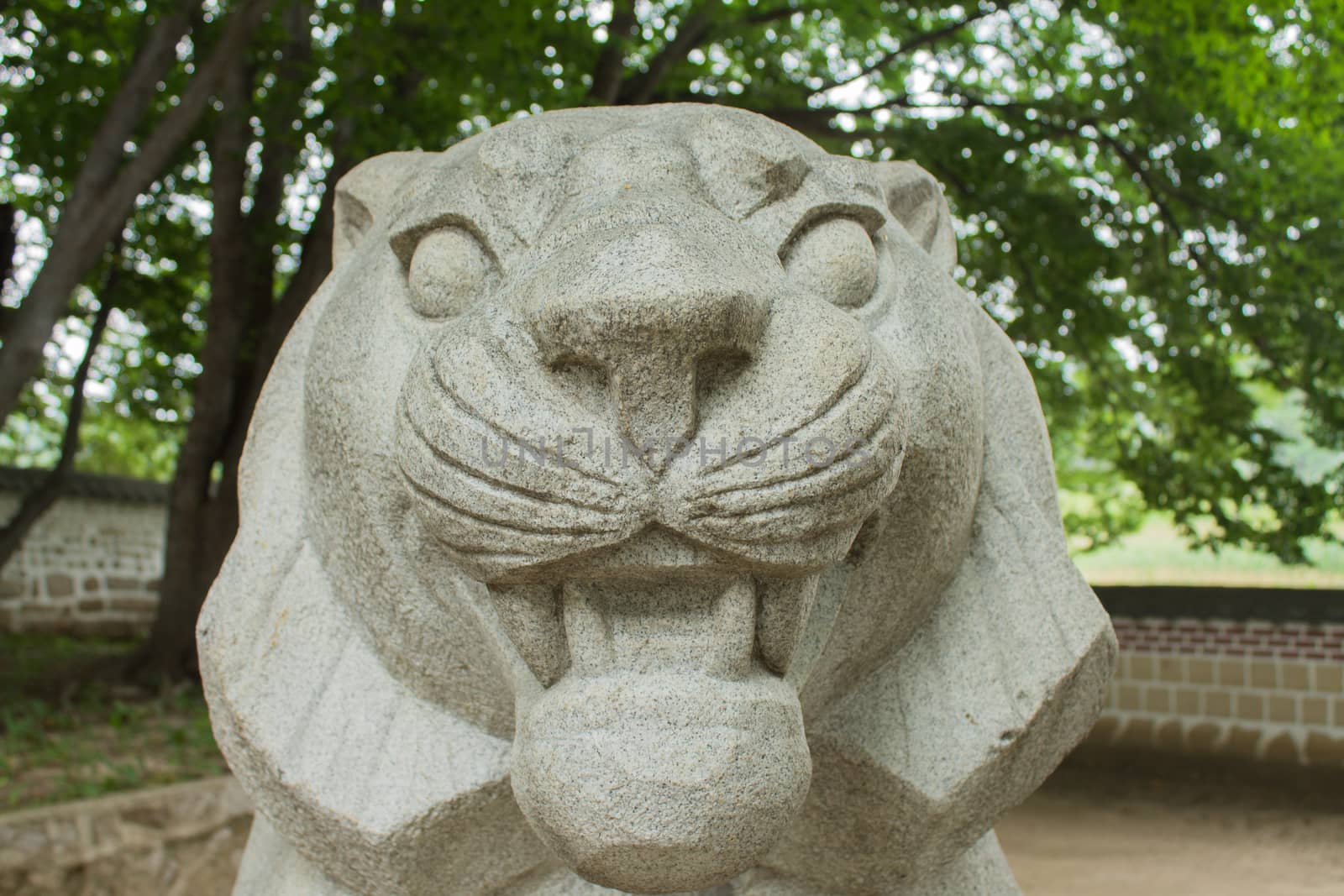 the head of a stone lion. ancient sculpture. North Korea