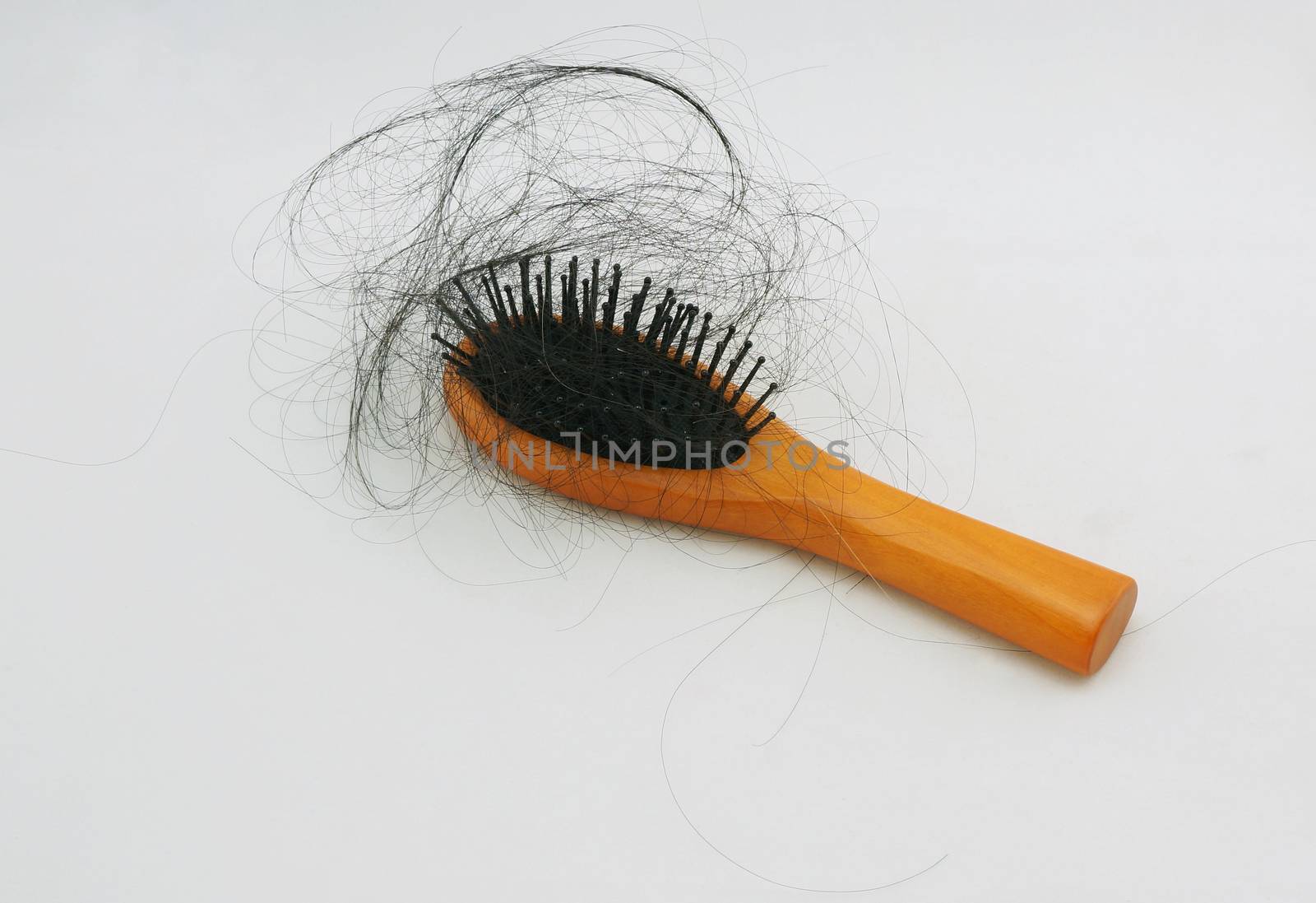 Hair loss and hair-comb by ninun