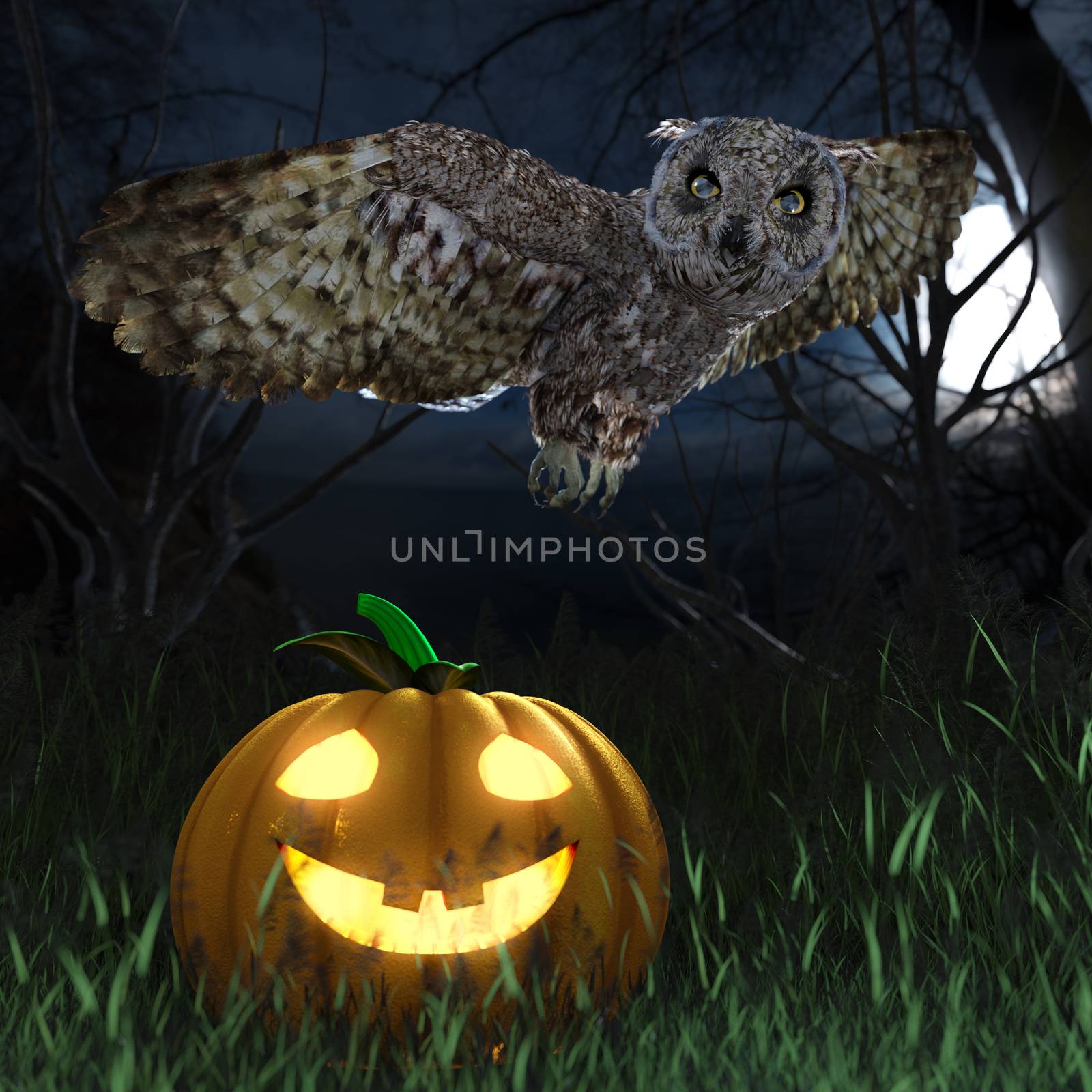 Halloween pumpkin and owl in night forest holiday background by denisgo