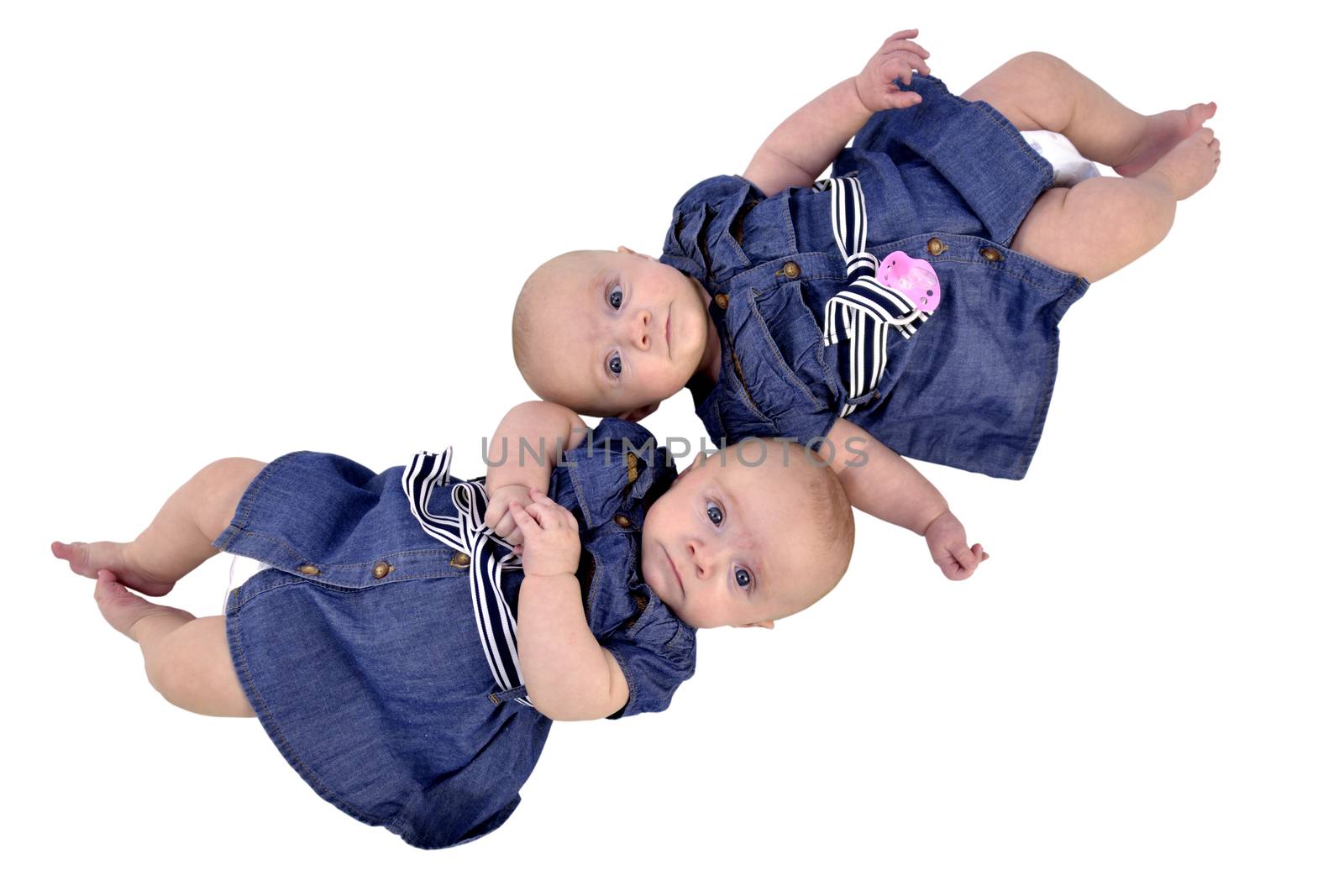 Six month twin sisters on white background, lying top-to-tail