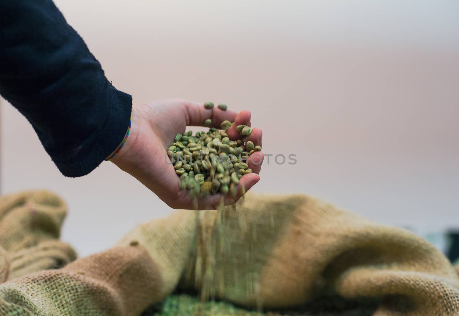Hand touching coffee beans inside the jute bag