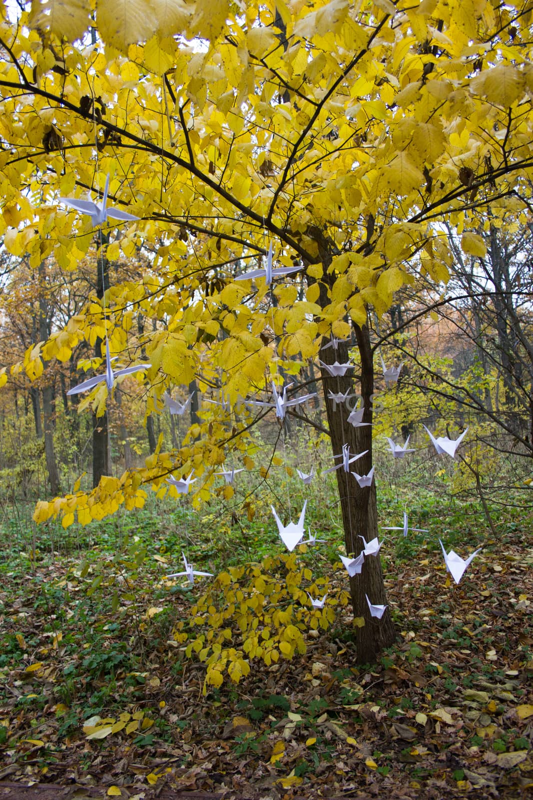 Paper cranes in autumn Park. Origami tree at the Botanical garden, Russia