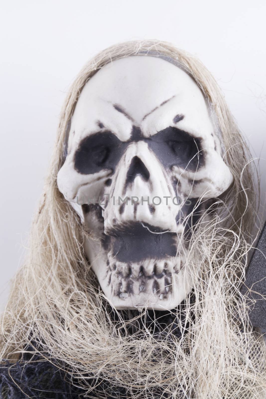Skull face over white background, vertical image