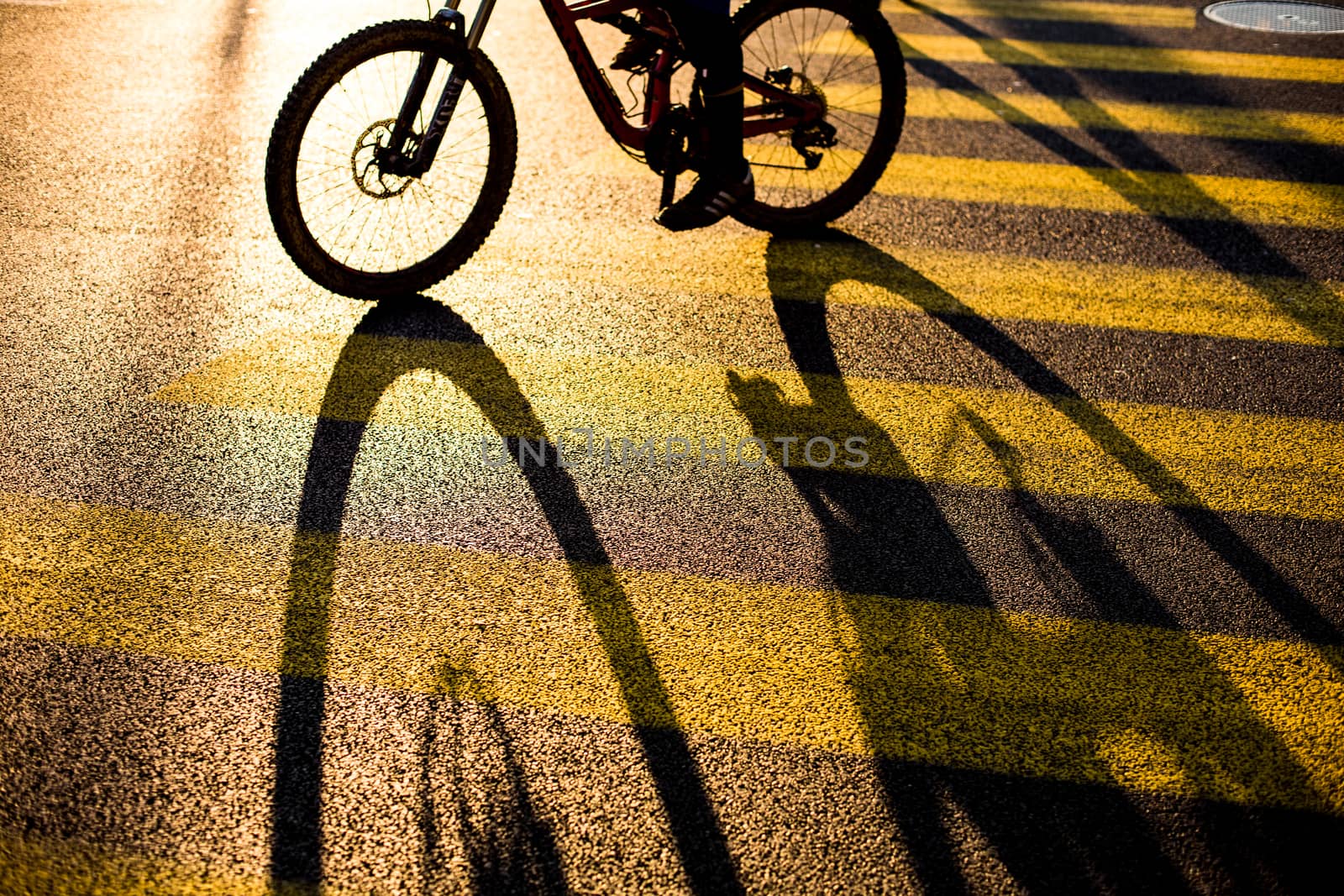 Biker/Cyclist on a crossing in a city casting a long shadow by viktor_cap
