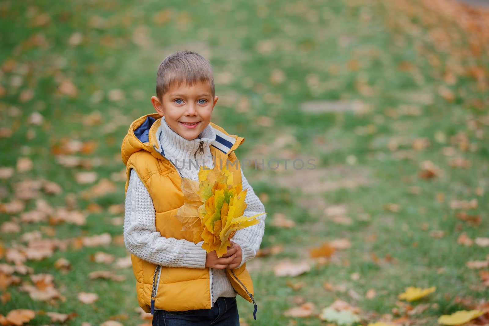 Portrait of Adorable cute boy with autumn leaves in the beautiful park