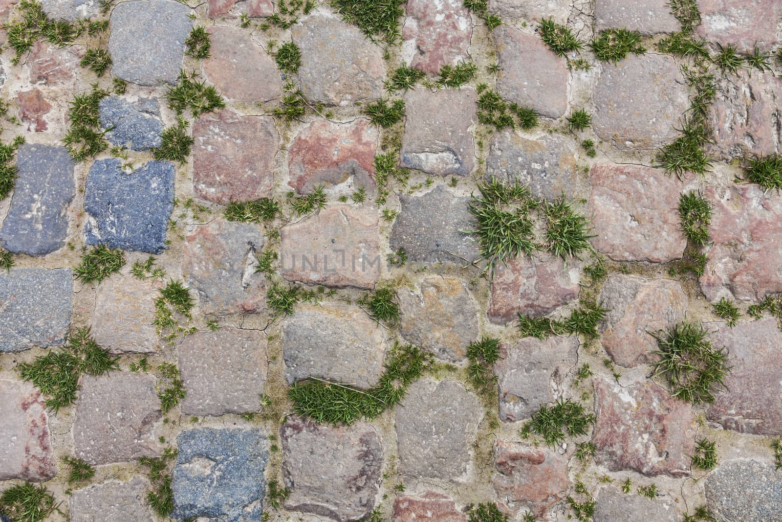 Detail of a cobbelstone road located in the North of France near Lille. On such roads every year is organized one of the most famous one day cycling race Paris-Roubaix.