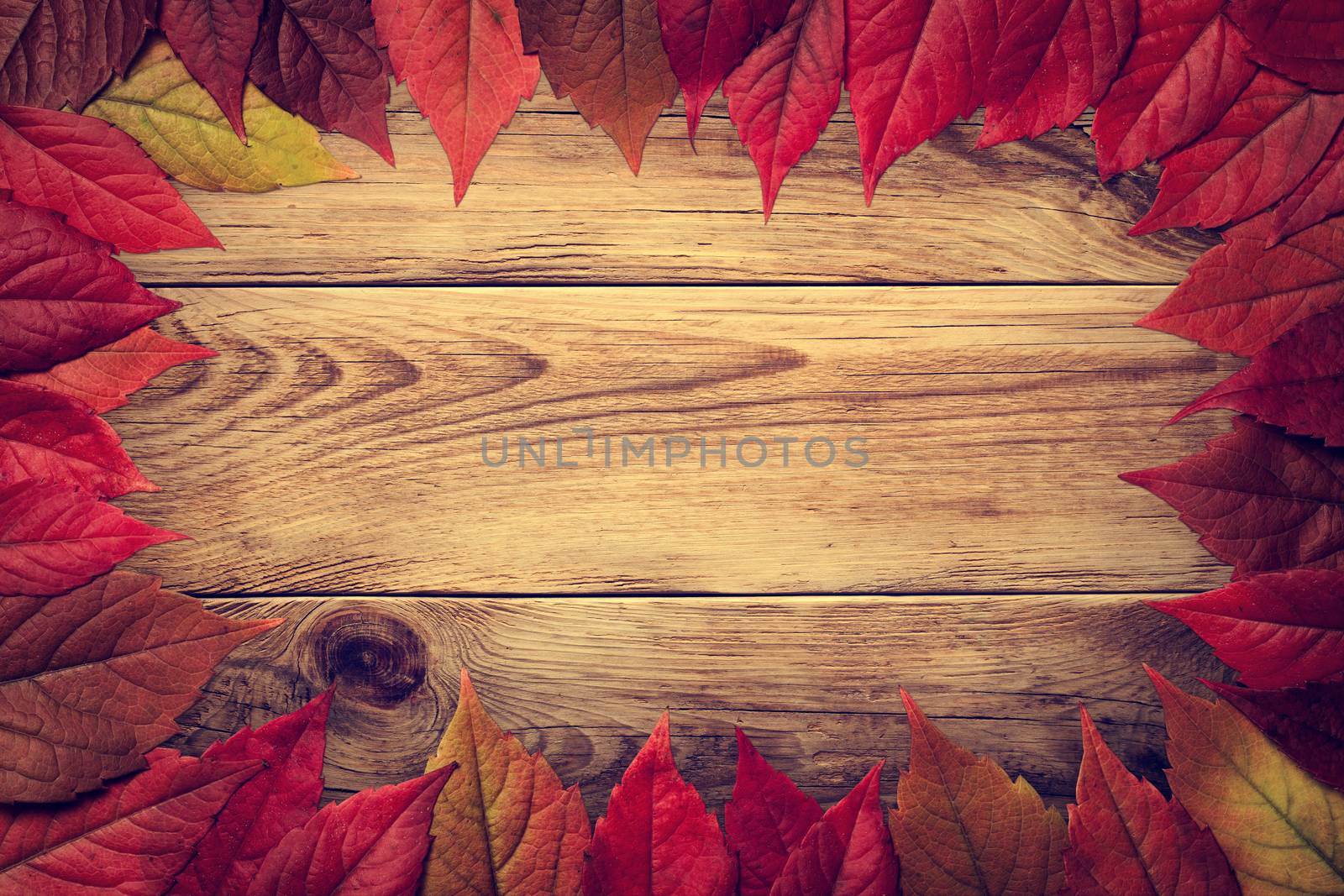 Autumn leaves frame on wooden background. Virginia creeper leaves. Vintage style. Top view