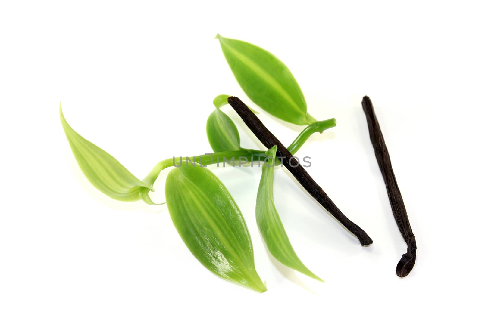 Vanilla sticks with green vanilla leaves on a light background