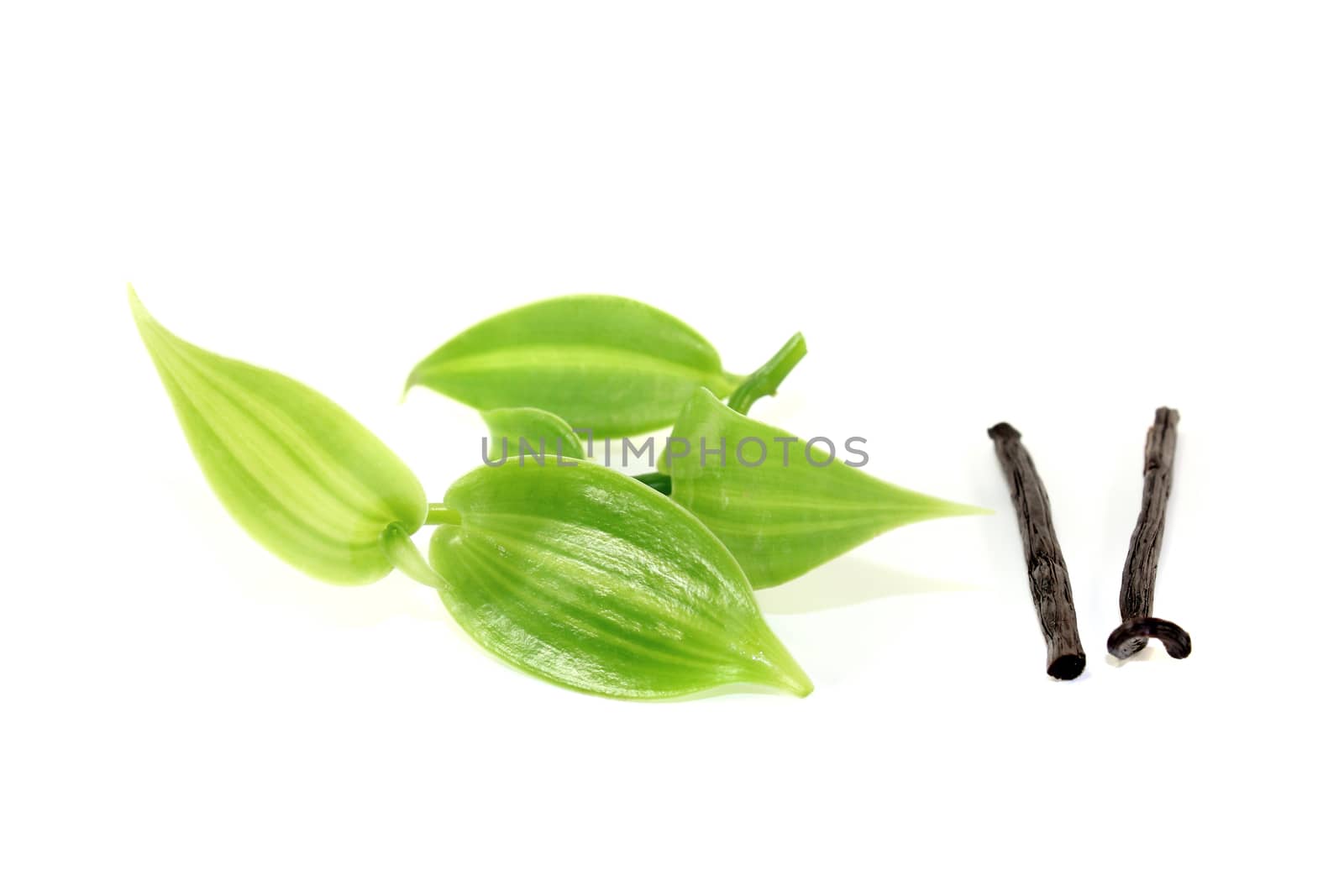 dark Vanilla sticks with vanilla leaves on a light background