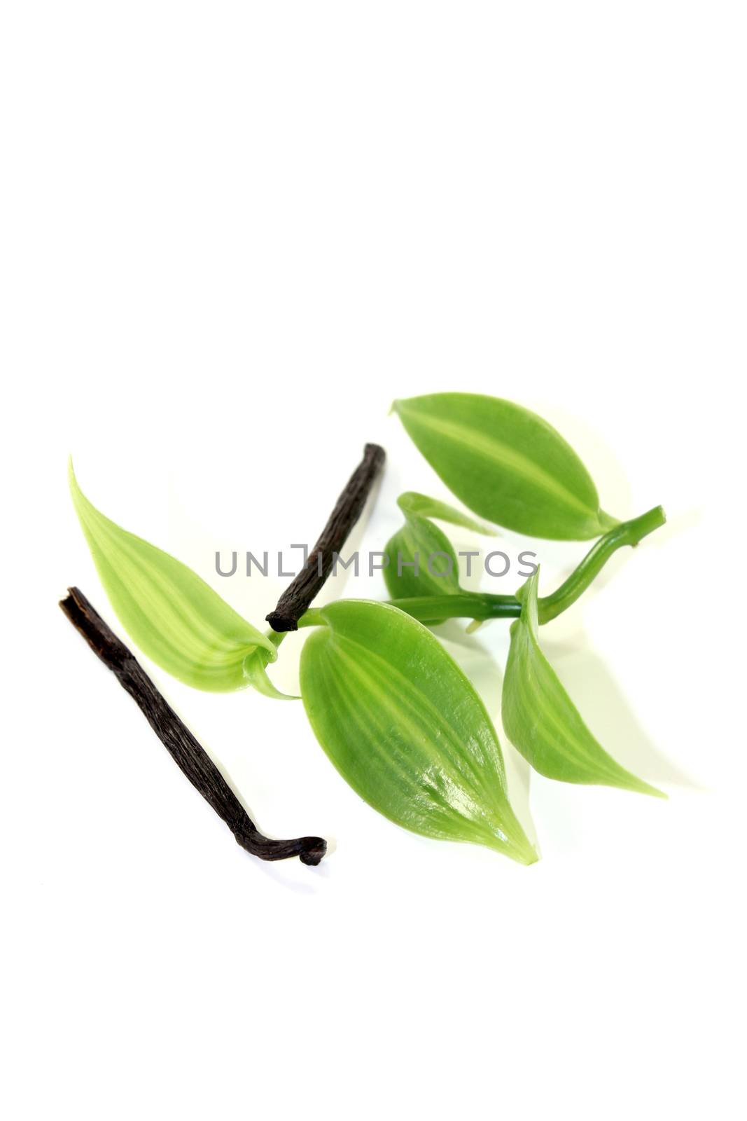 dark Vanilla sticks with green vanilla leaves on a light background