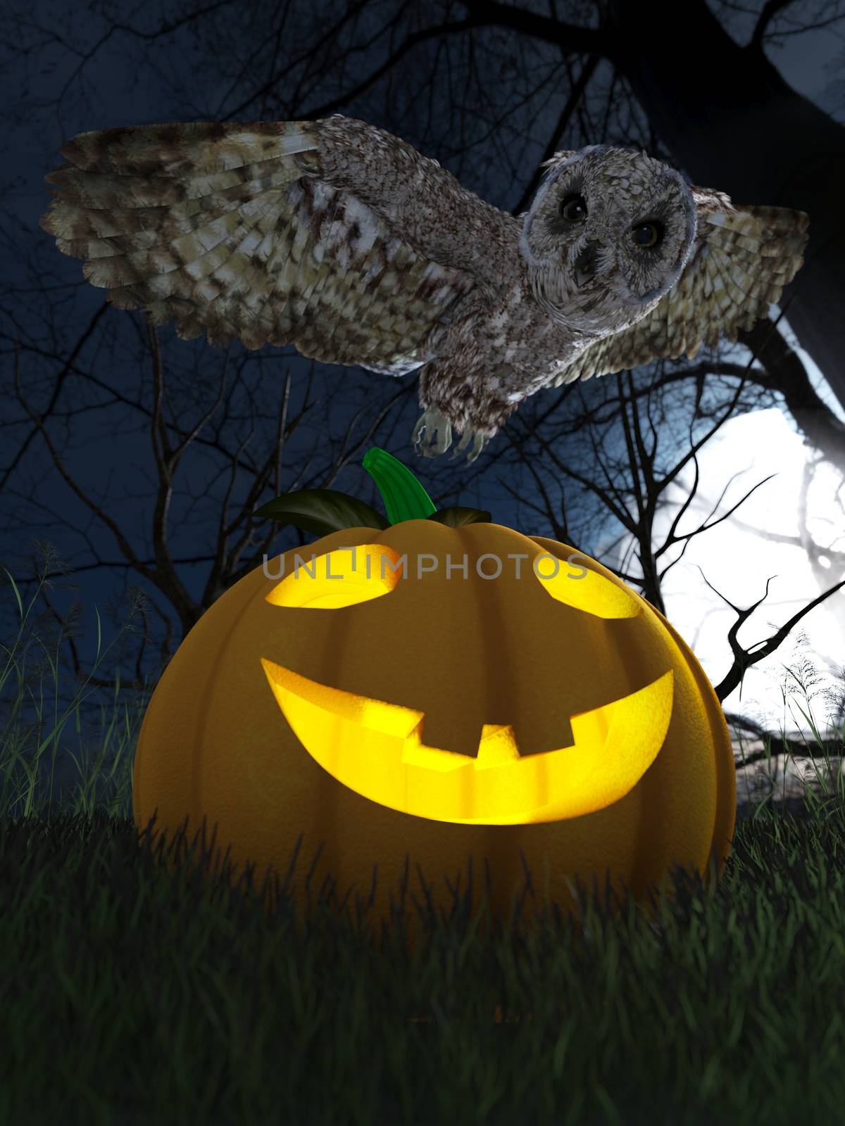 Halloween pumpkin and owl in night forest holiday background by denisgo
