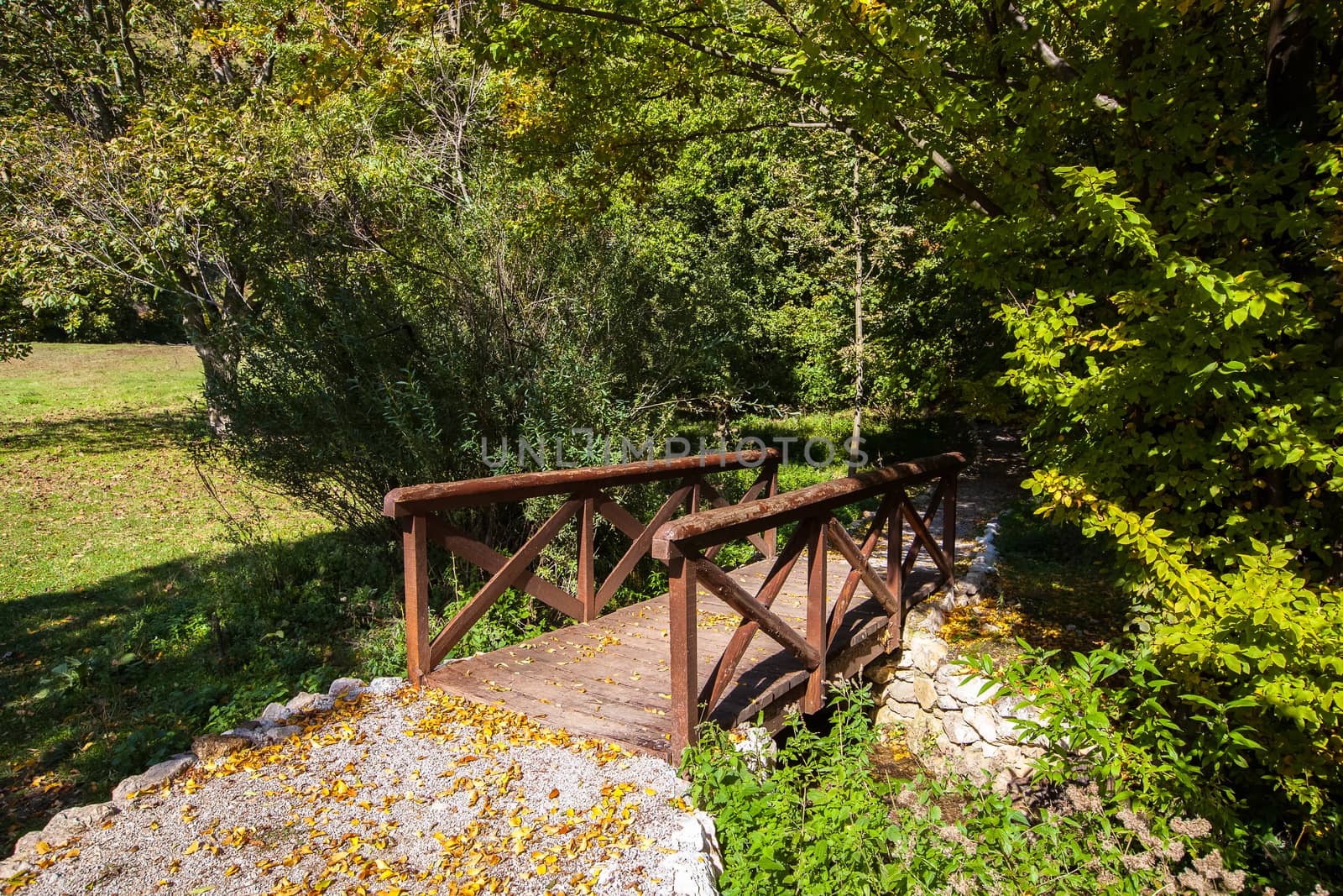 Wooden footbridge on an early fall day by Slast20