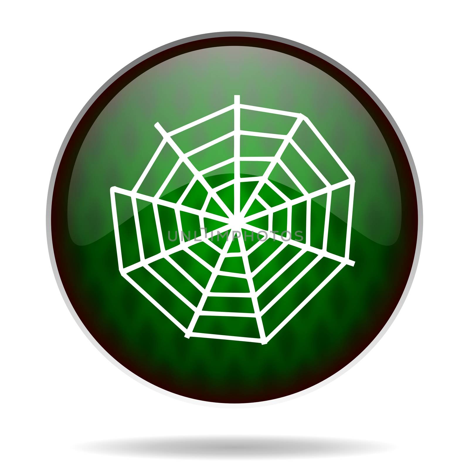 spider web green internet icon by alexwhite