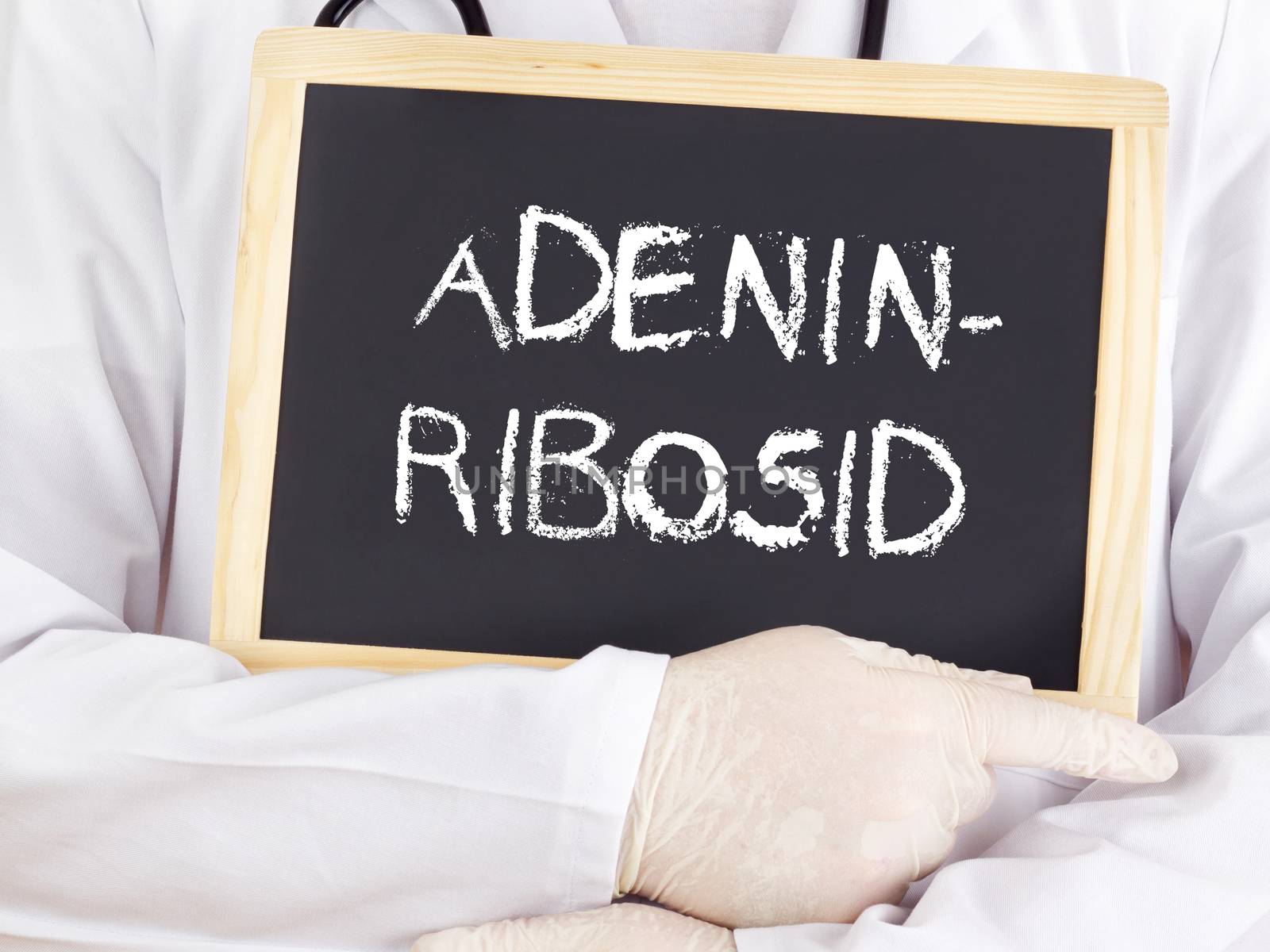 Doctor shows information: adenine riboside in german