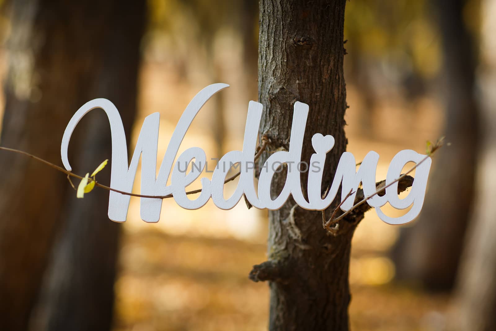 word wedding on a beautiful blurred background