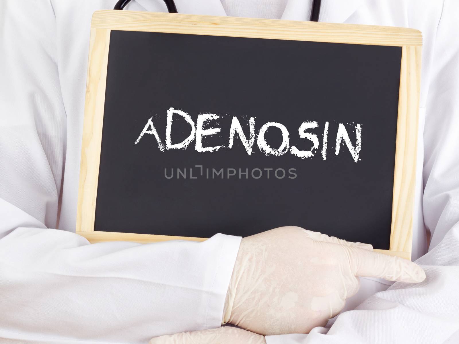 Doctor shows information: adenine riboside in german
