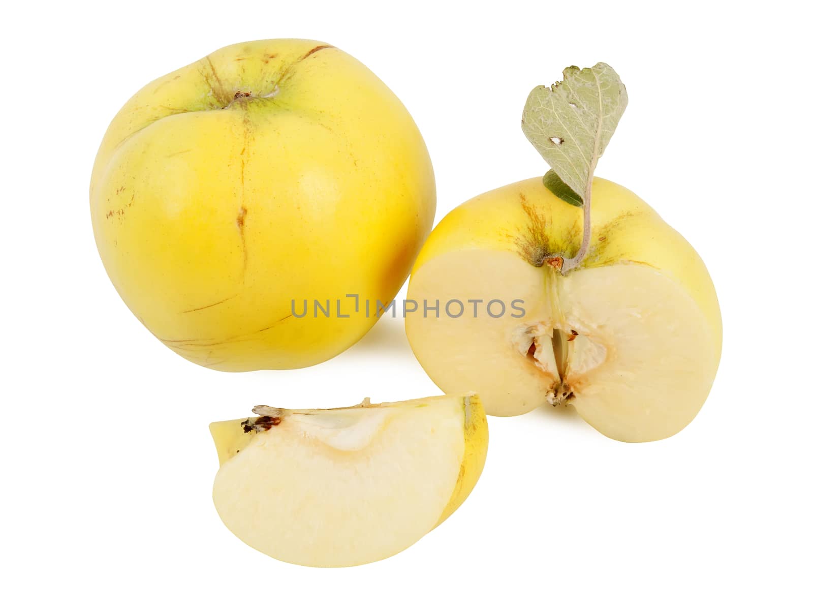 yellow quinces isolated on white background, studio shot