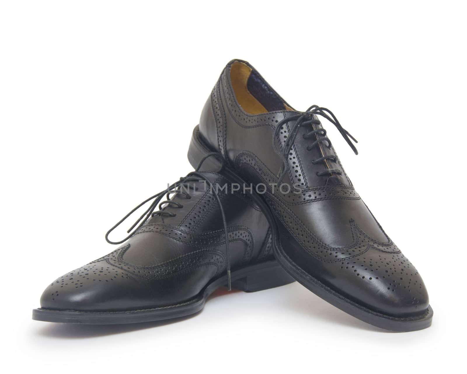 Close-up of elegant mens shoes on white background by cocoo