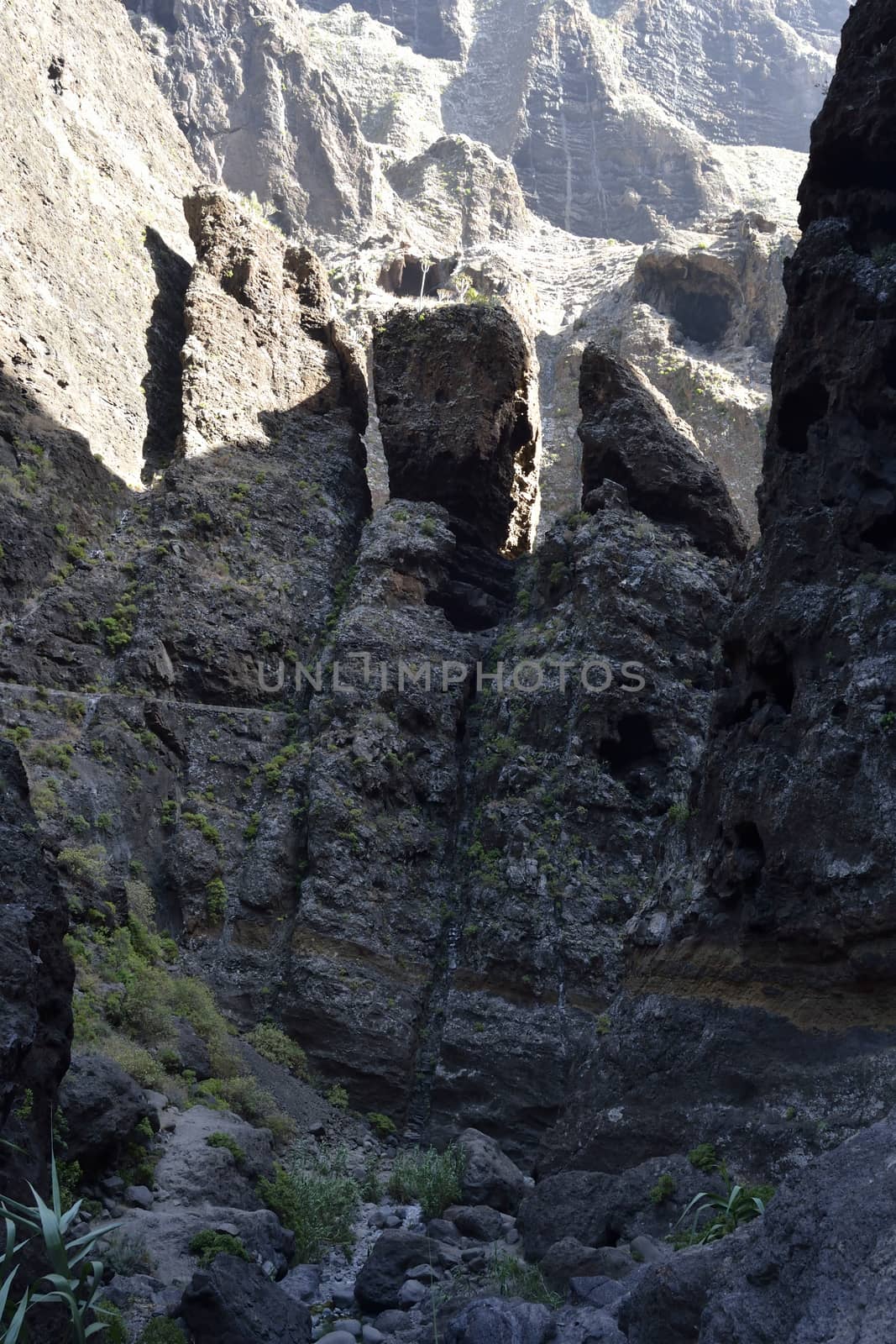 walk throuh the Masca canyon, Tenerife, Spain. beautiful and steep gorge.