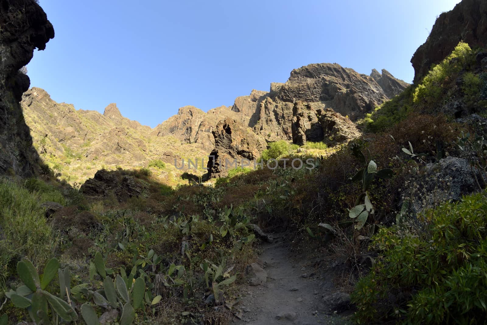 walk throuh the Masca canyon, Tenerife, Spain. beautiful and steep gorge. Fisheye lens