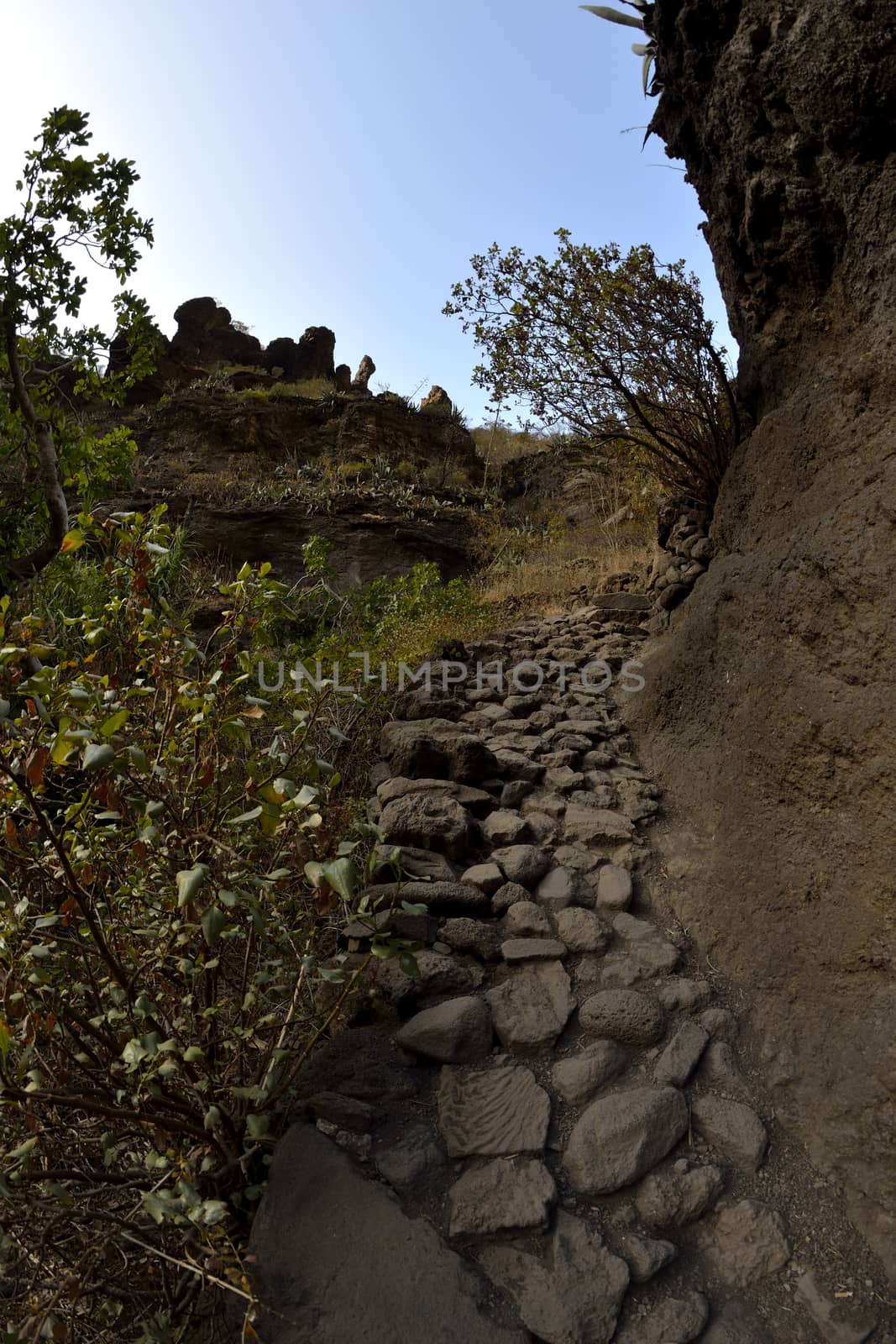 walk throuh the Masca canyon, Tenerife, Spain. beautiful and steep gorge. Fisheye lens