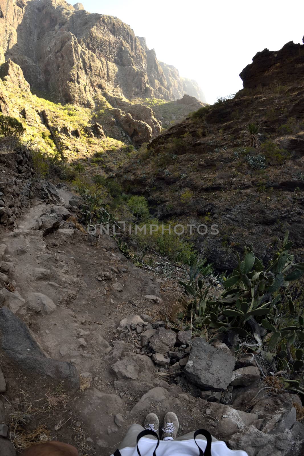 walk throuh the Masca canyon, Tenerife, Spain. beautiful and steep gorge. Fisheye lens